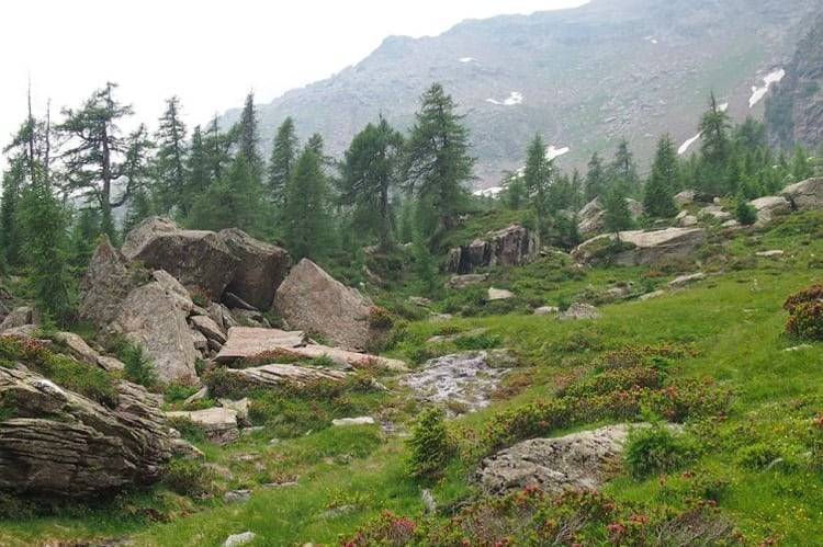 Gegner des Parc Adula formieren sich