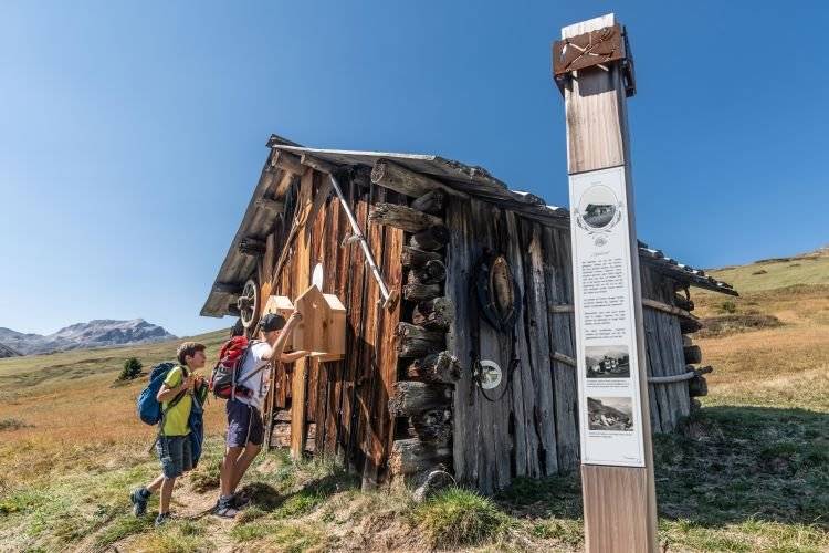 Eröffnung des Alpleben-Themenwegs in Savognin