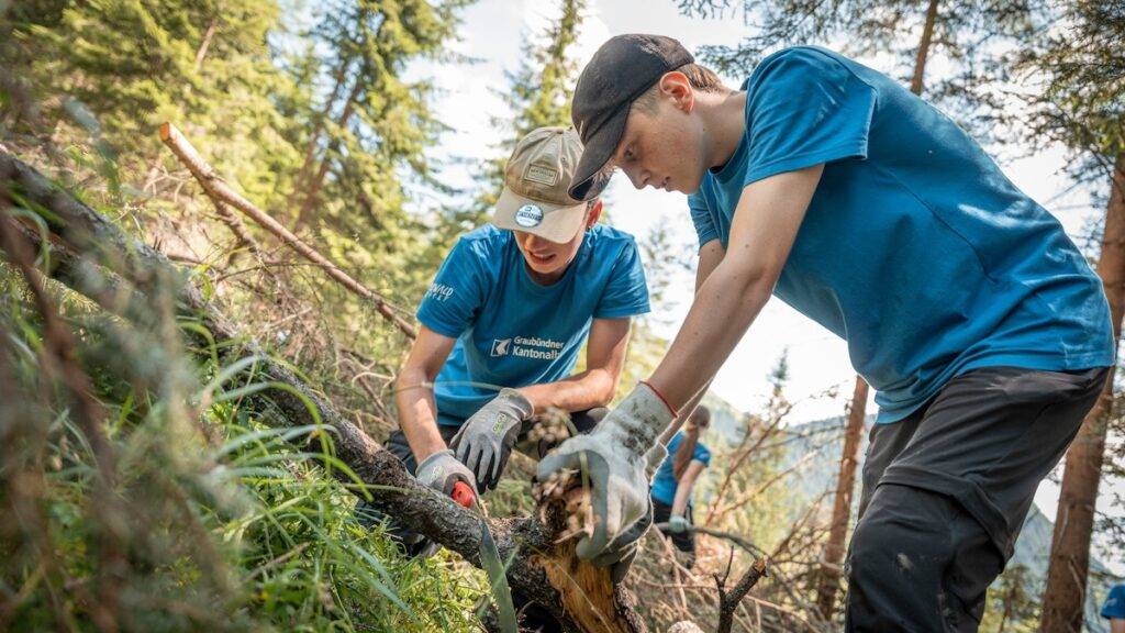 Jugendliche schützten den Bündner Bergwald
