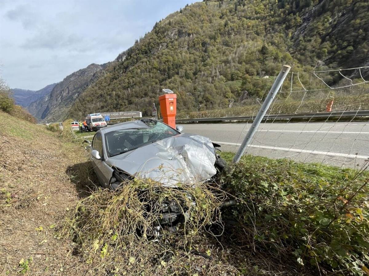 Auto kollidiert mit dem Wildschutzzaun
