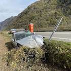 Auto kollidiert mit dem Wildschutzzaun