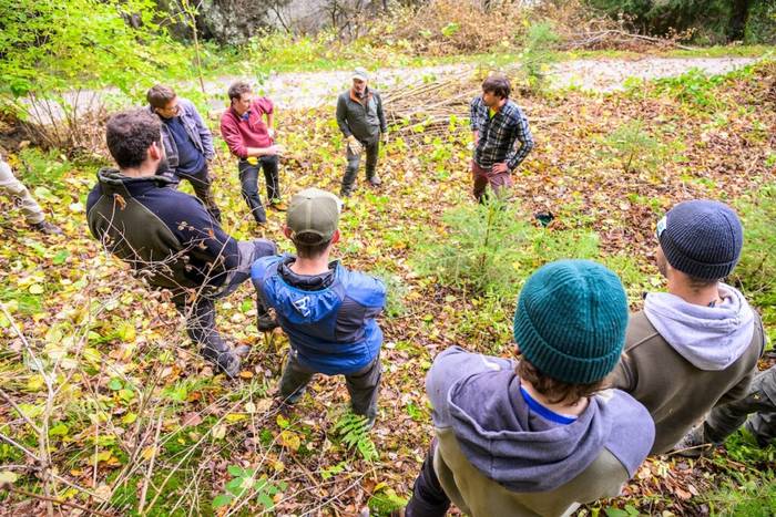 Förster und Jäger pflanzen 10'000 Bäume