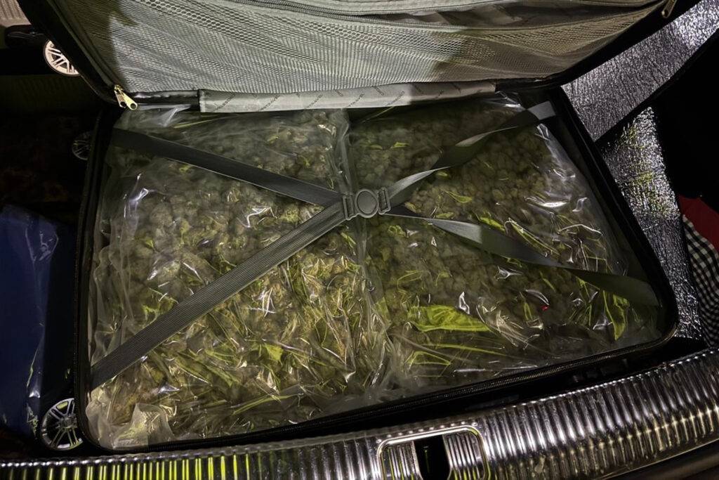 Mit zwei Koffern voll Marihuana erwischt