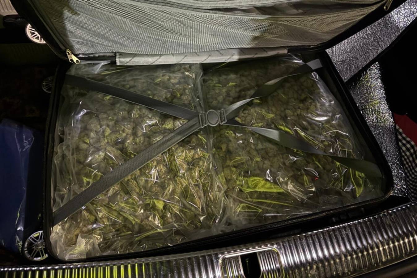 Mit zwei Koffern voll Marihuana erwischt