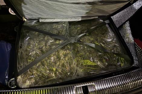 Mit zwei Koffern voll Marihuana erwischt