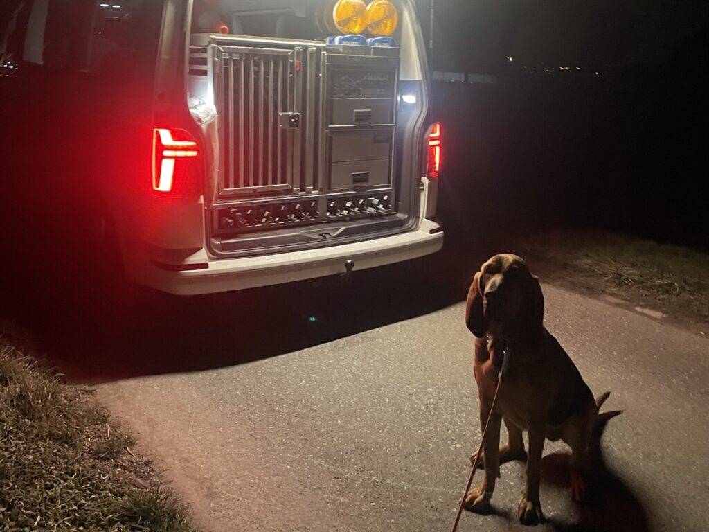 Festnahme nach Personenwagendiebstahl in Uznach