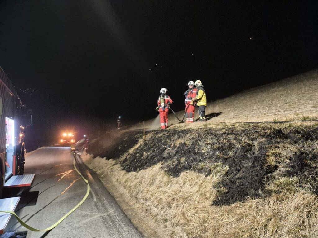 Zigistummel verursacht Brand in Zorten