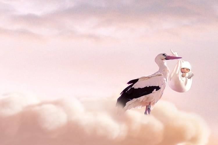 Kantonsspital bietet Geburtshaus-Service an