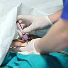 Petition für Erhalt der Kinderintensiv ist gestartet