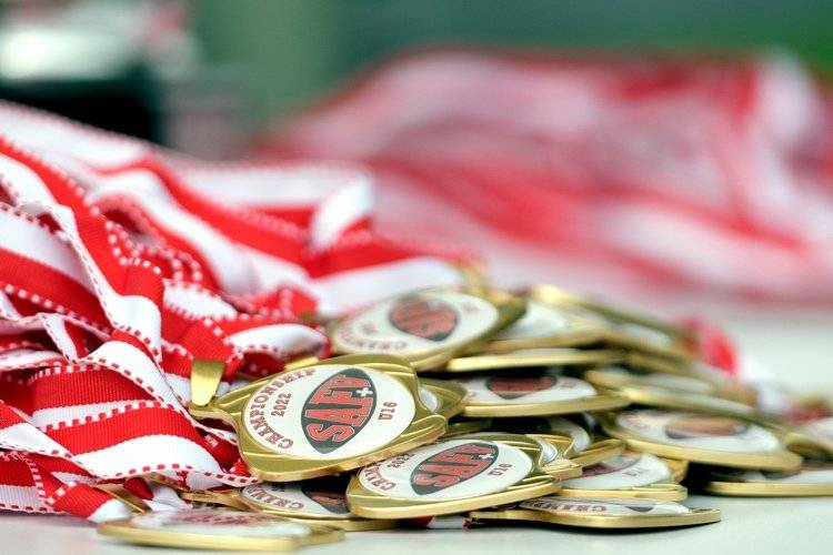 Alltime-Tackle-Football-Statistiken der Schweiz